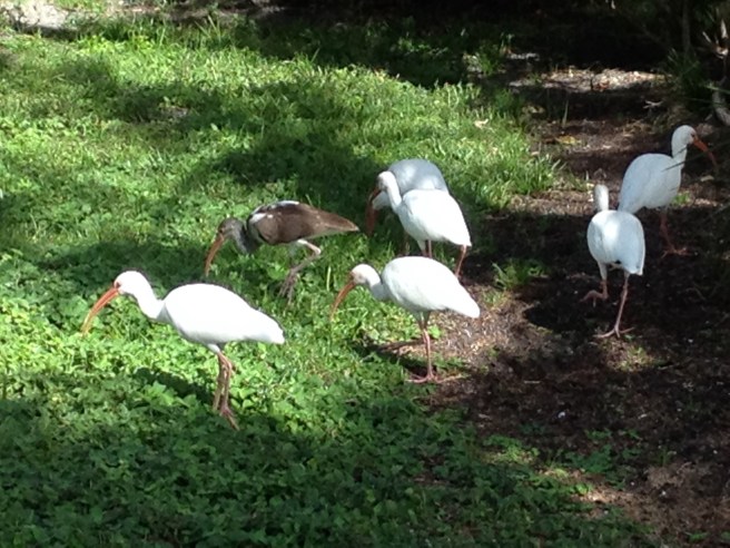 BB12FDAC-A524-4F2C-9AE1-3C1CFF66450E